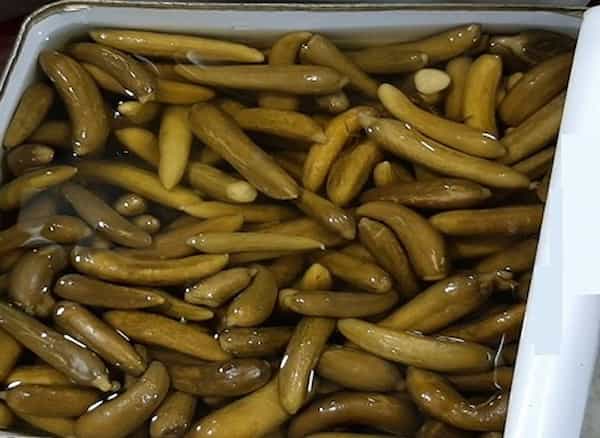 معرفی خیارشورحلبی + بهترین قیمت خرید